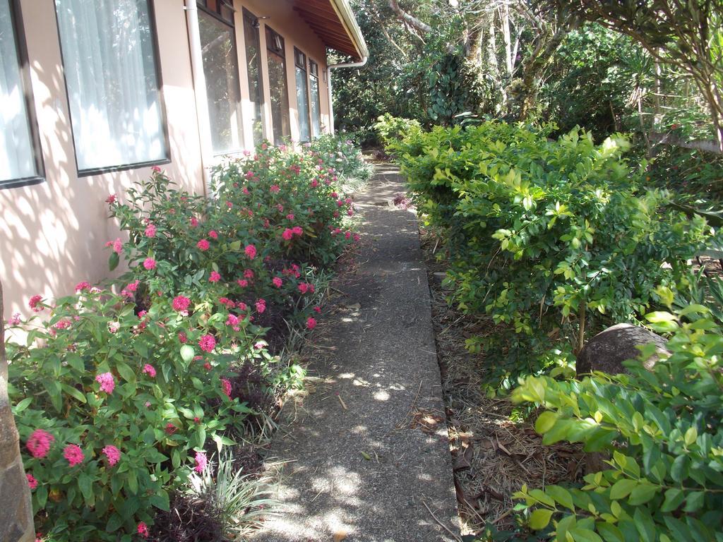 Hotel Las Orquideas Monteverde Exterior foto